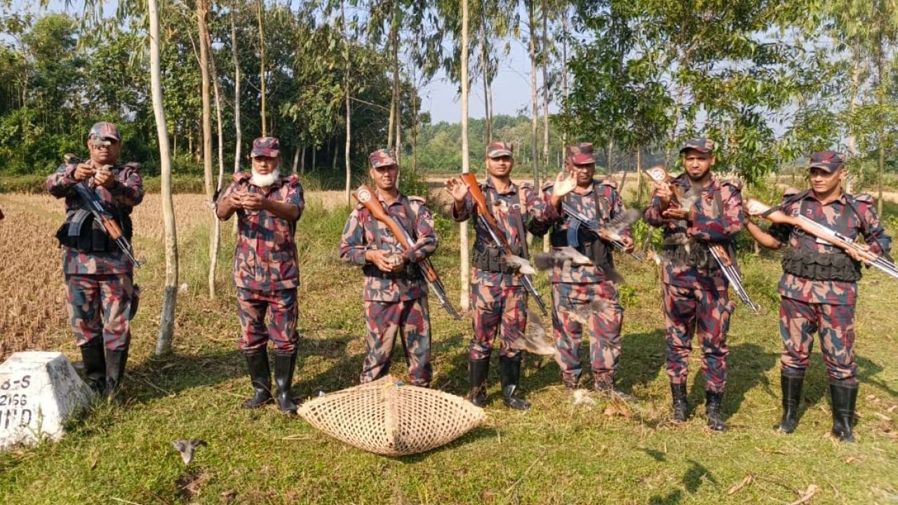 ৯০টি শালিক পাখি উদ্ধার করে অবমুক্ত করল বিজিবি