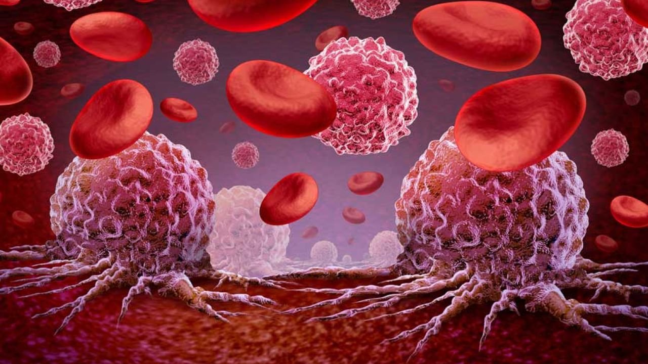 কোন রক্তের গ্রুপের মানুষের ক্যানসারের ঝুঁকি বেশি হয়