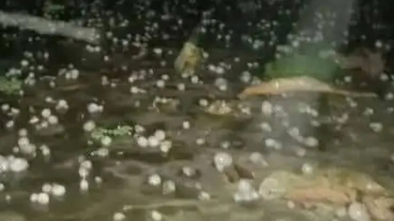 ৫ অঞ্চলে শিলাবৃষ্টির আভাস, নদীবন্দরে সতর্ক সংকেত