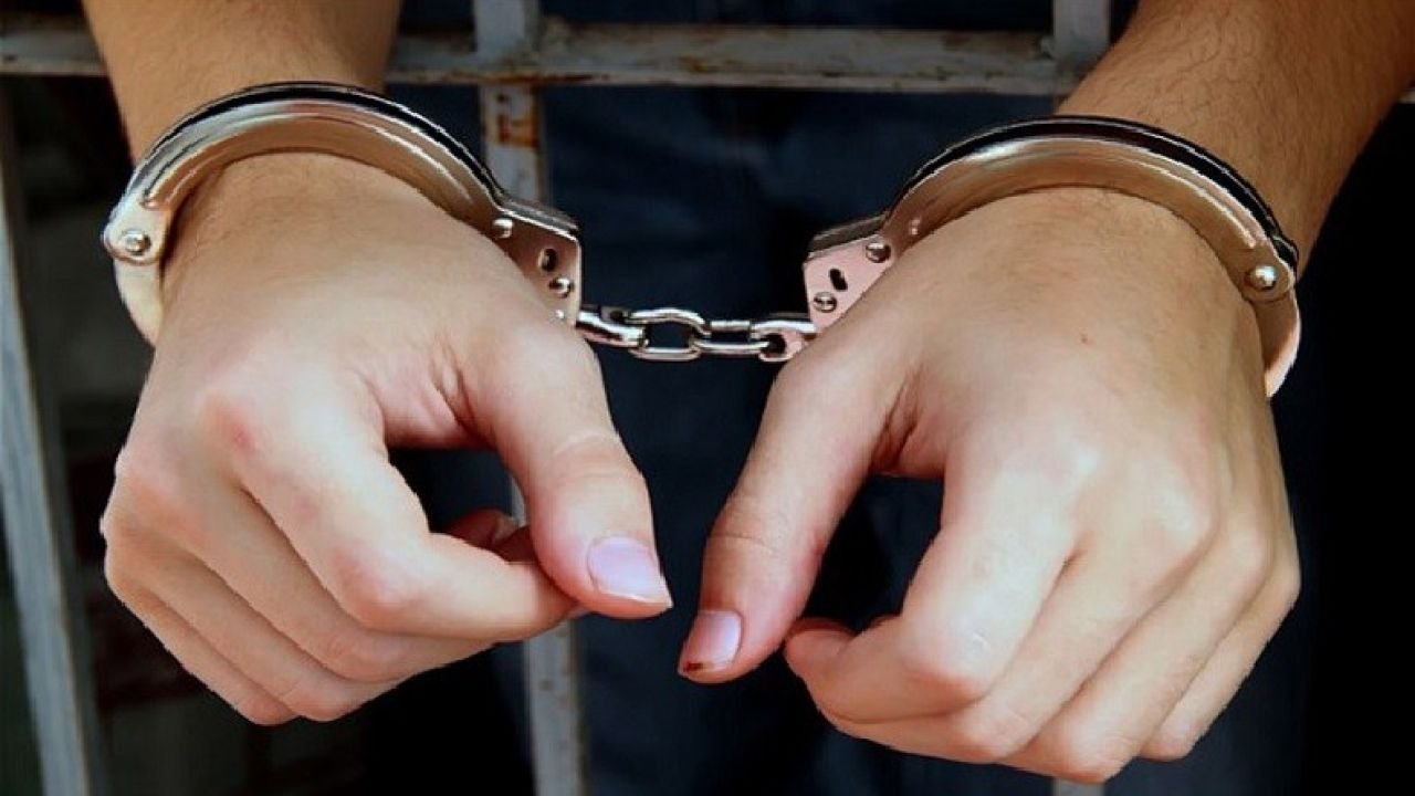 রাজধানী থেকে আওয়ামী লীগ  ২৯ নেতাকর্মী গ্রেপ্তার