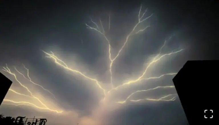 বজ্রপাতে ১২ জনের মৃত্যু