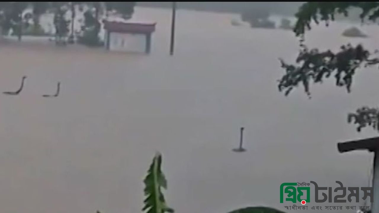 বন্যায় ভেসে গেল খামারের ৯০০ সাপ, লোকালয়ে আতঙ্ক