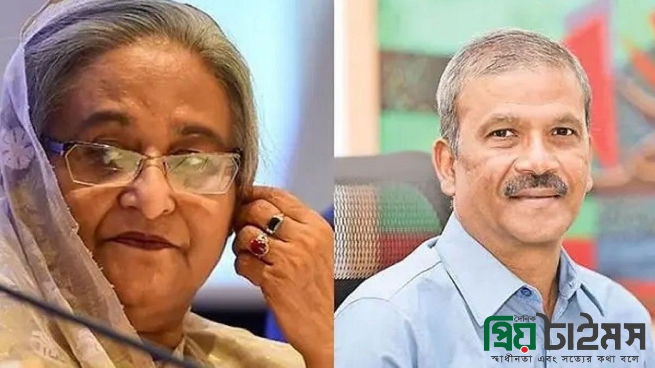 শেখ হাসিনা আপনি এখনই দেশে ফিরে আসুন: আসিফ নজরুল