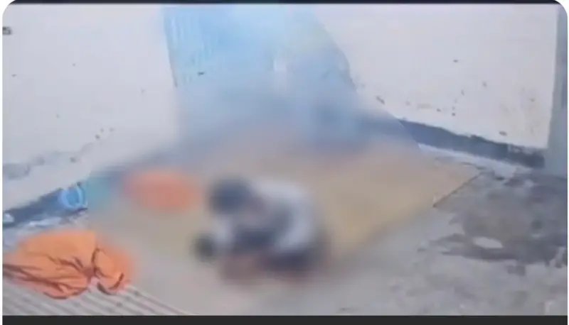 গলায় কাঁচি ধরে শিশুকে ধর্ষণের পর ভিডিওধারণ, অতঃপর