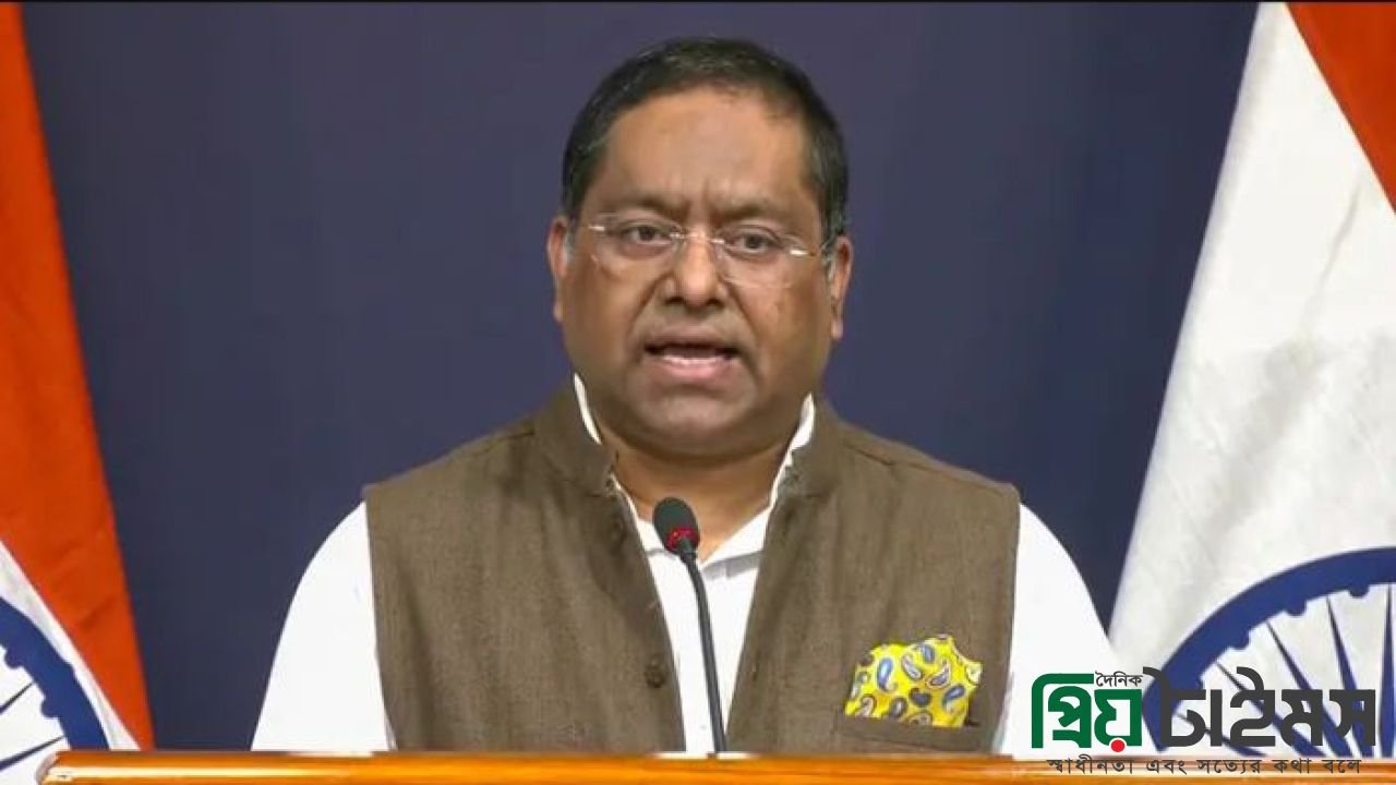 হাসিনার ফেরা নিয়ে যা বলল ভারত