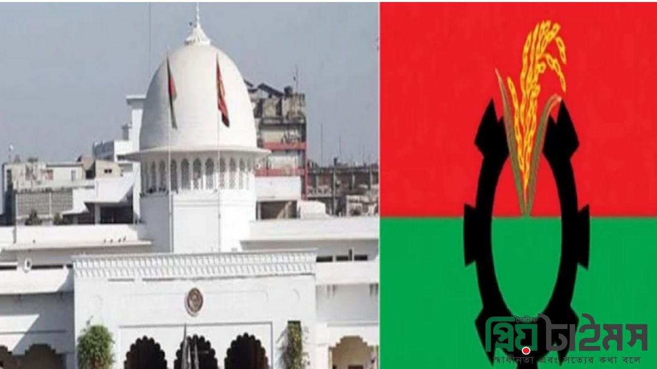 রাষ্ট্রপতি পদে কার নাম চূড়ান্ত? যা জানাল বিএনপির উচ্চপর্যায়ের সূত্র