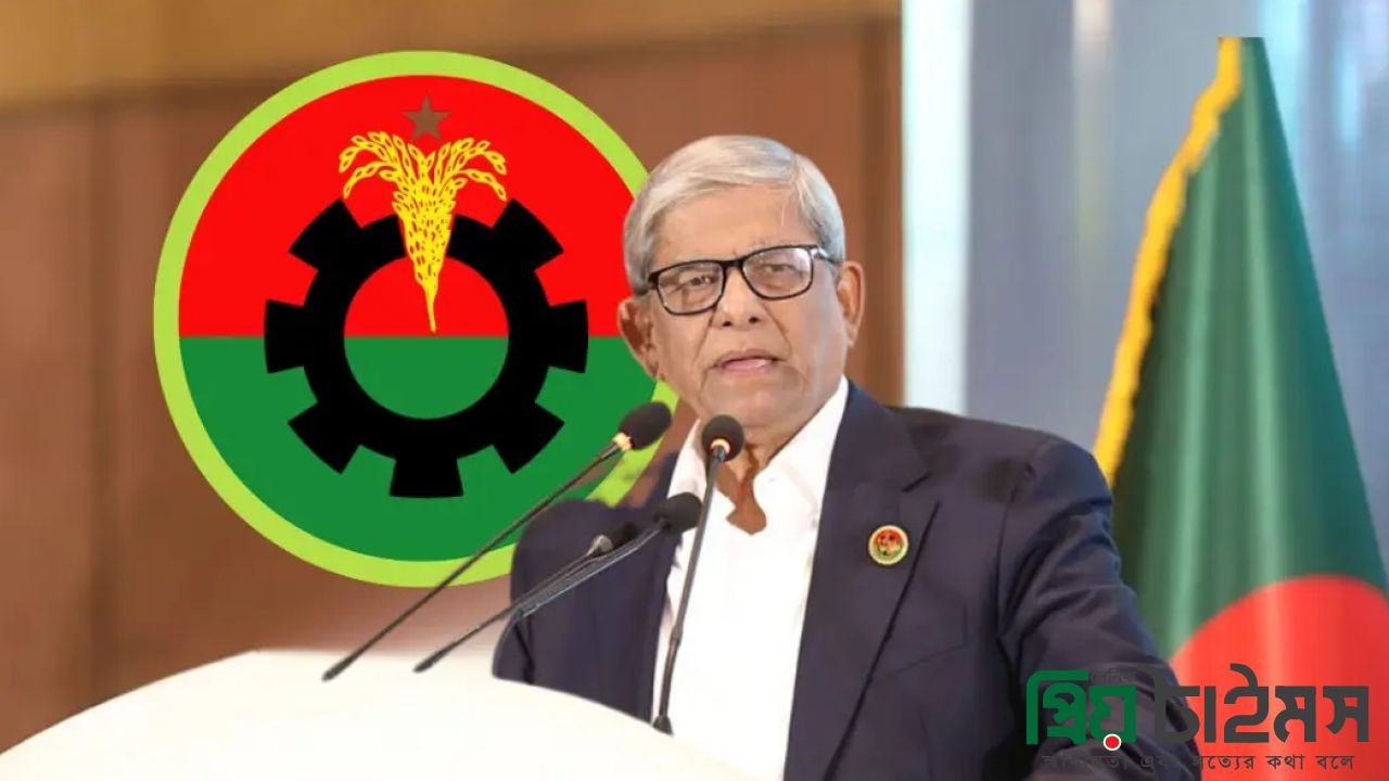 রাষ্ট্রপতি প্রার্থী মির্জা ফখরুল, বিএনপির দল ও সরকারের তিন পদে সম্ভাব্য উত্তরসূরি কারা