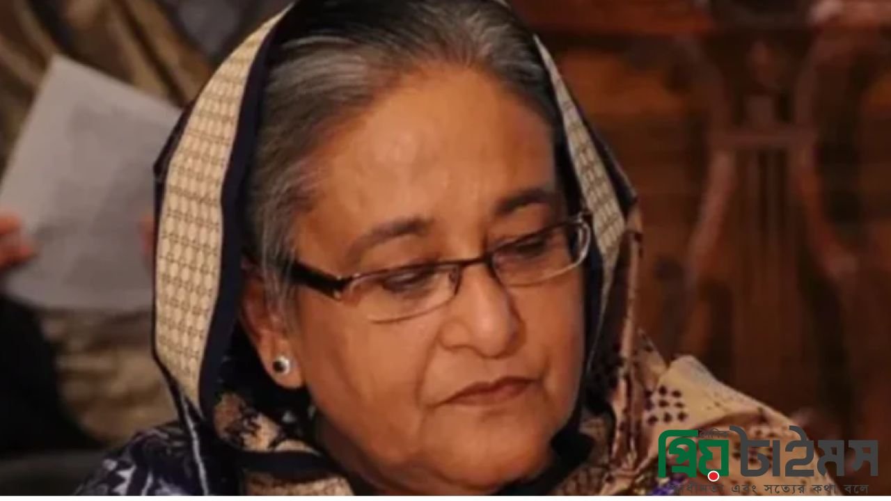 শেখ হাসিনার প্রত্যর্পণ নিয়ে ভারতের আদালতেই চূড়ান্ত সিদ্ধান্ত