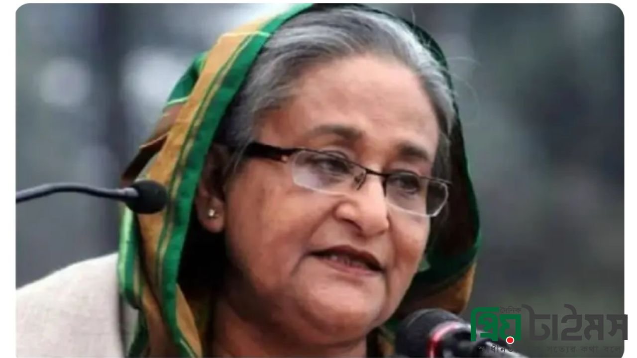 শেখ হাসিনা দেশে ফিরে থাকবেন যমুনায়, সব মামলা প্রত্যাহারসহ মধ্যবর্তী নির্বাচনের দাবি ভারতের!